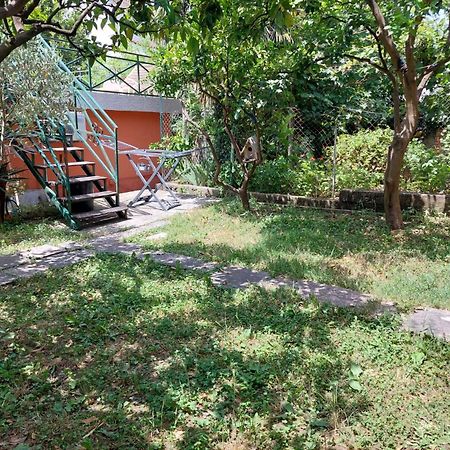 Garden Apartmant Near Sea Κότορ Εξωτερικό φωτογραφία