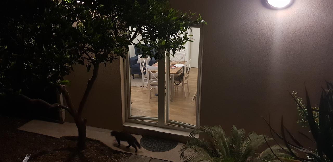 Garden Apartmant Near Sea Κότορ Εξωτερικό φωτογραφία
