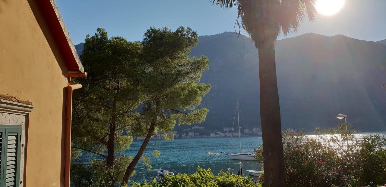 Garden Apartmant Near Sea Κότορ Εξωτερικό φωτογραφία