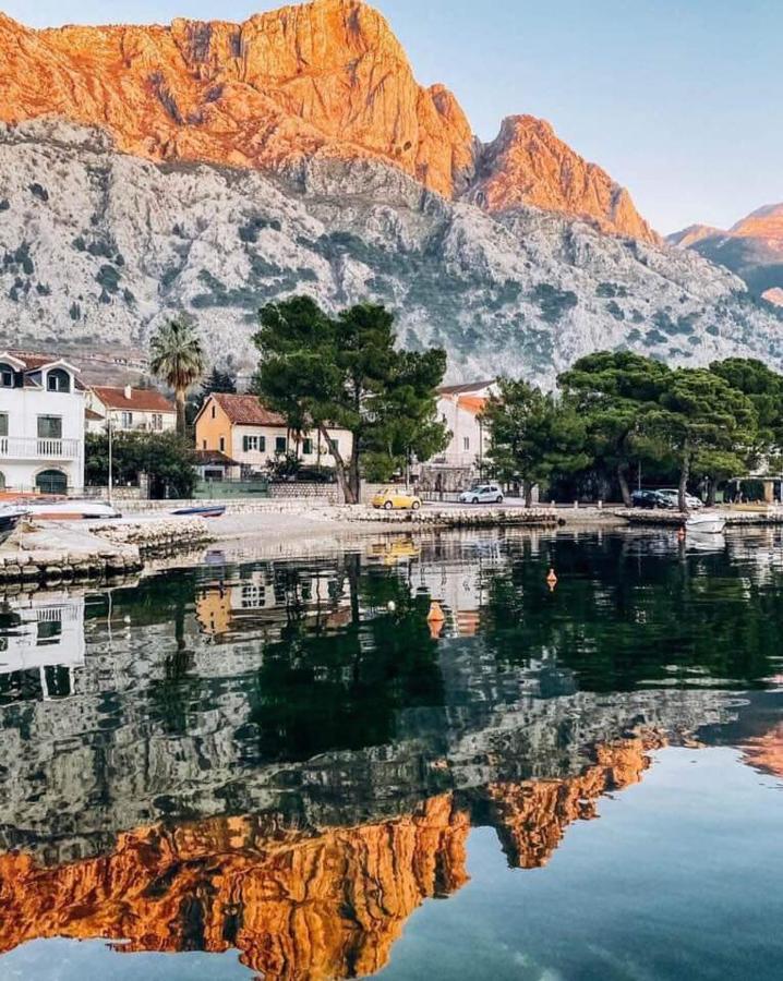 Garden Apartmant Near Sea Κότορ Εξωτερικό φωτογραφία
